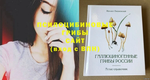 соль курить ск Алексин