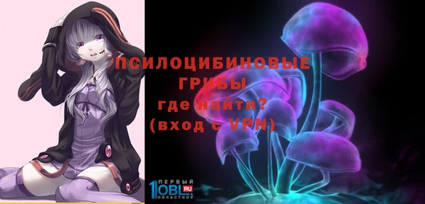 крисы Алексеевка