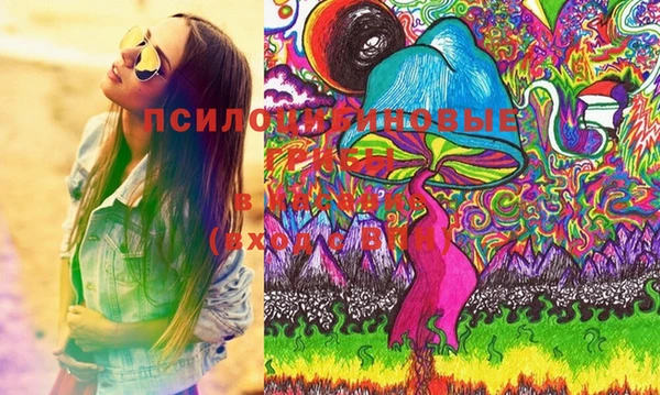 крисы Алексеевка