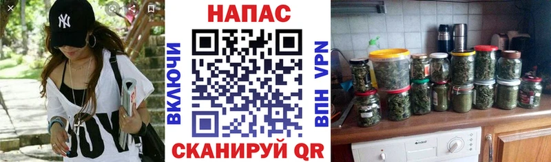 Бошки Шишки AK-47  где можно купить наркотик  Кочубеевское 
